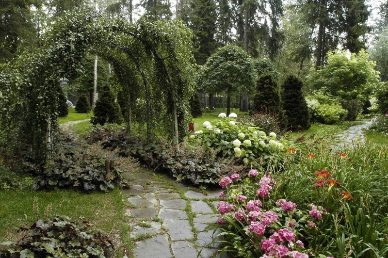 Пергола берсо