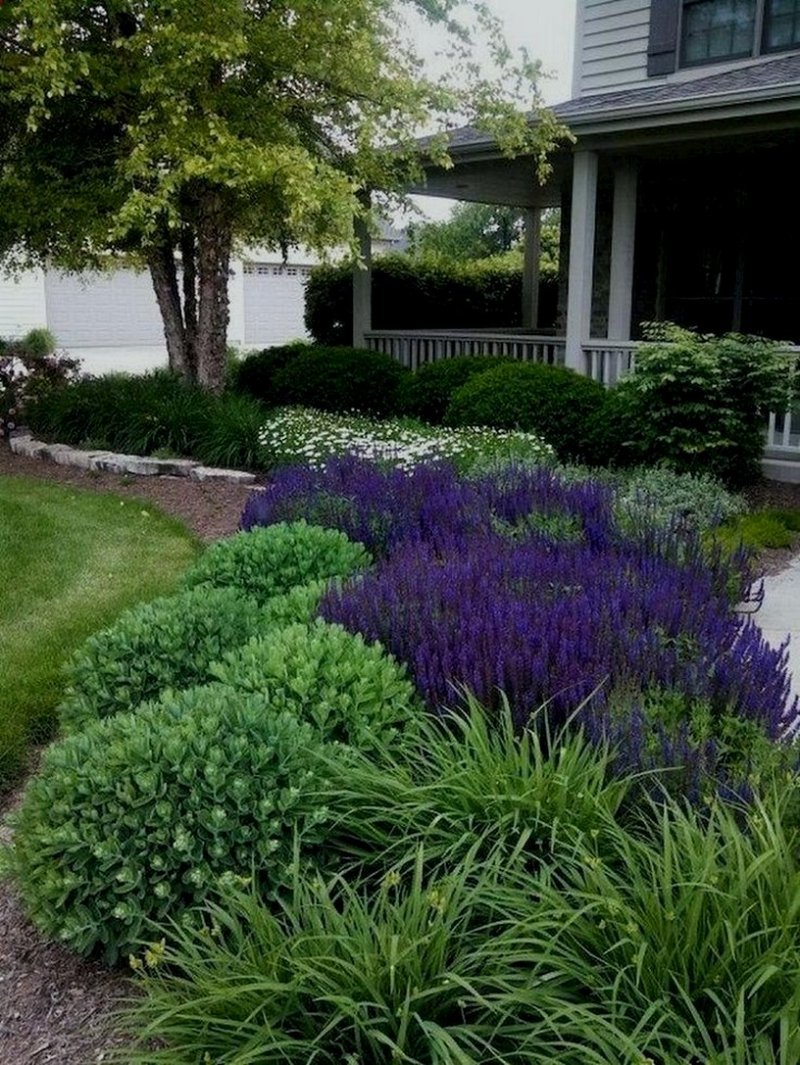 Landscaping ideas