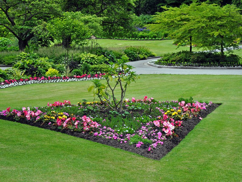 Beautiful garden