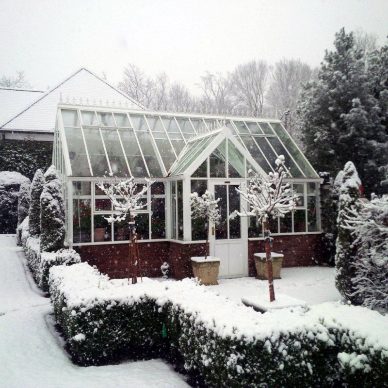 Hartley botanic теплица