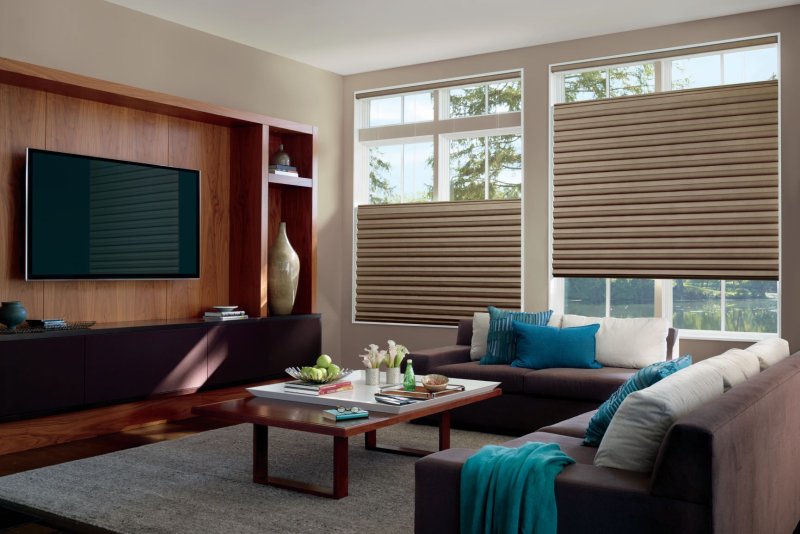 Blinds shades