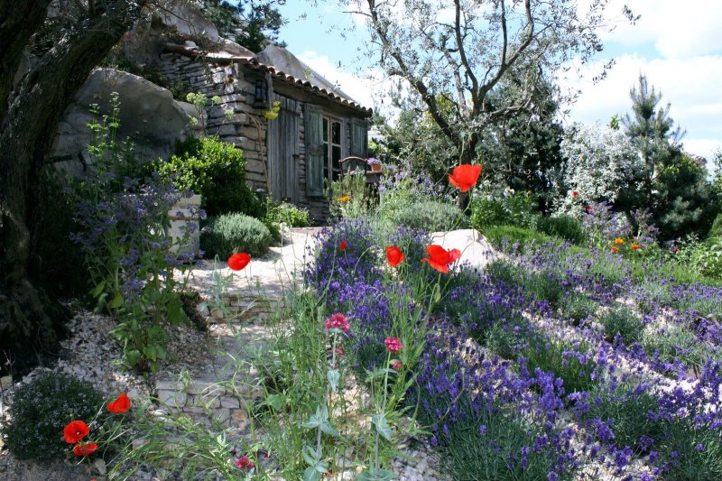 English cottage garden