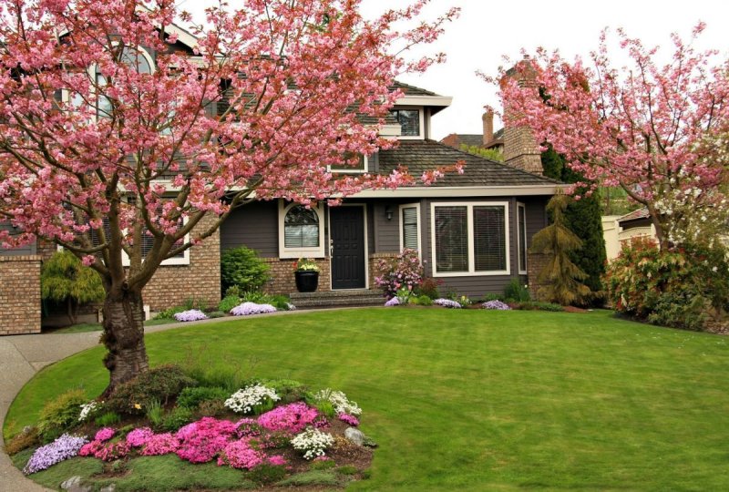 Front yard landscaping ideas