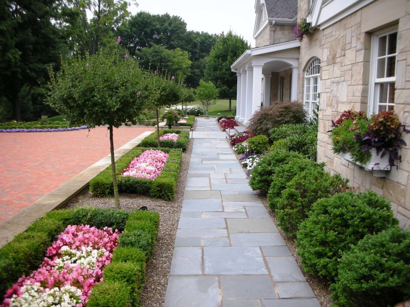 Front yard landscaping