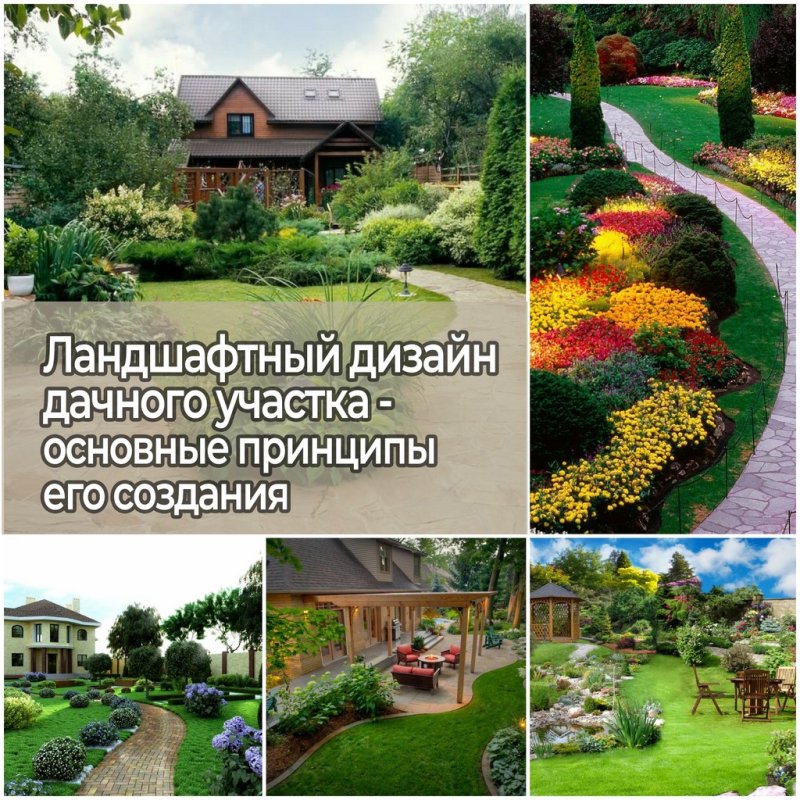 Принципы ландшафтного дизайна