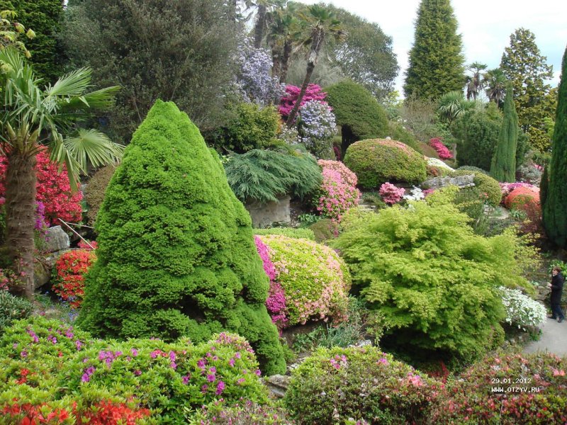 Сады леонардсли leonardslee gardens