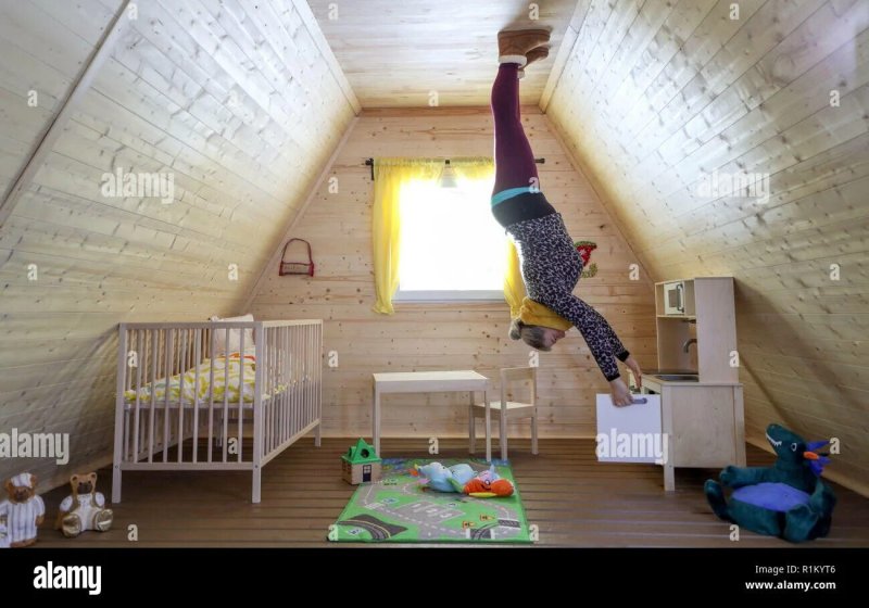 The upside down house