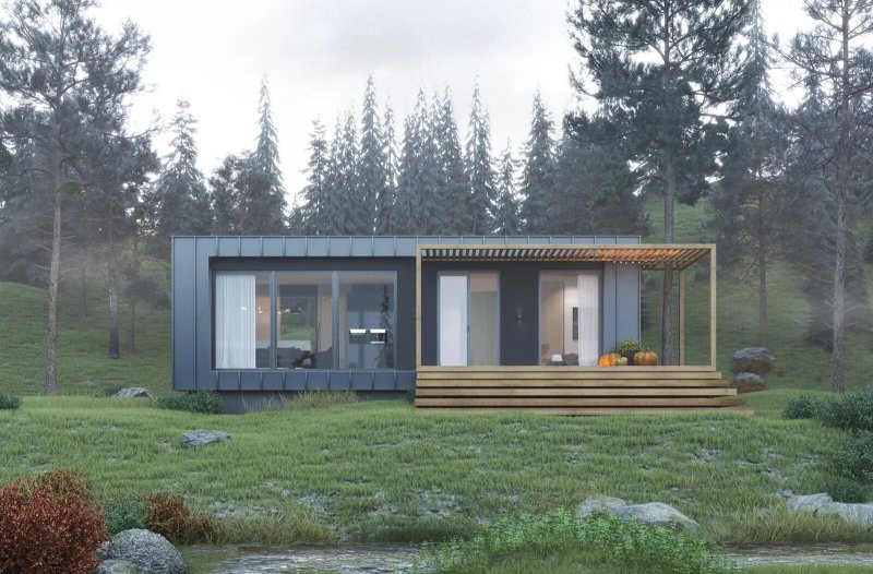 Tiny house с односкатной крышей