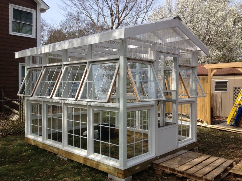 Hartley botanic теплица