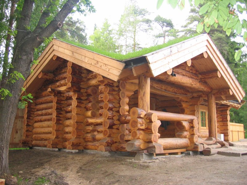 Баня из окоренного бревна под ключ