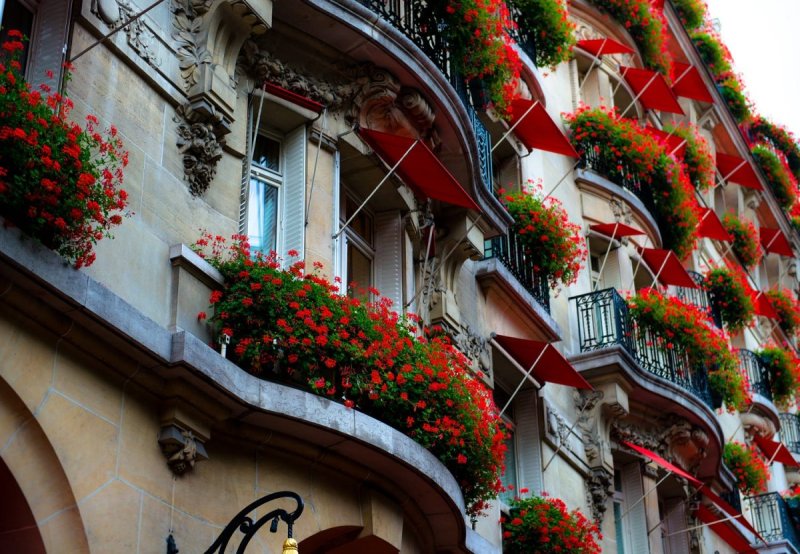 Plaza athenee paris