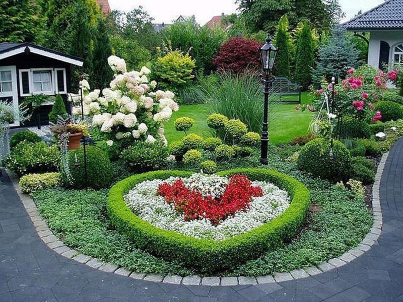 Самые красивые клумбы