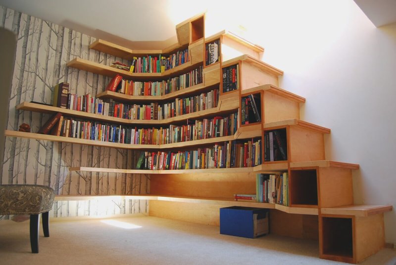 Необычные книжные полки